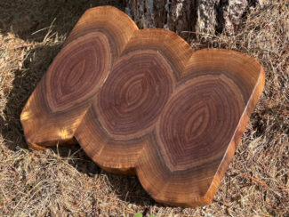 Live Edge Walnut