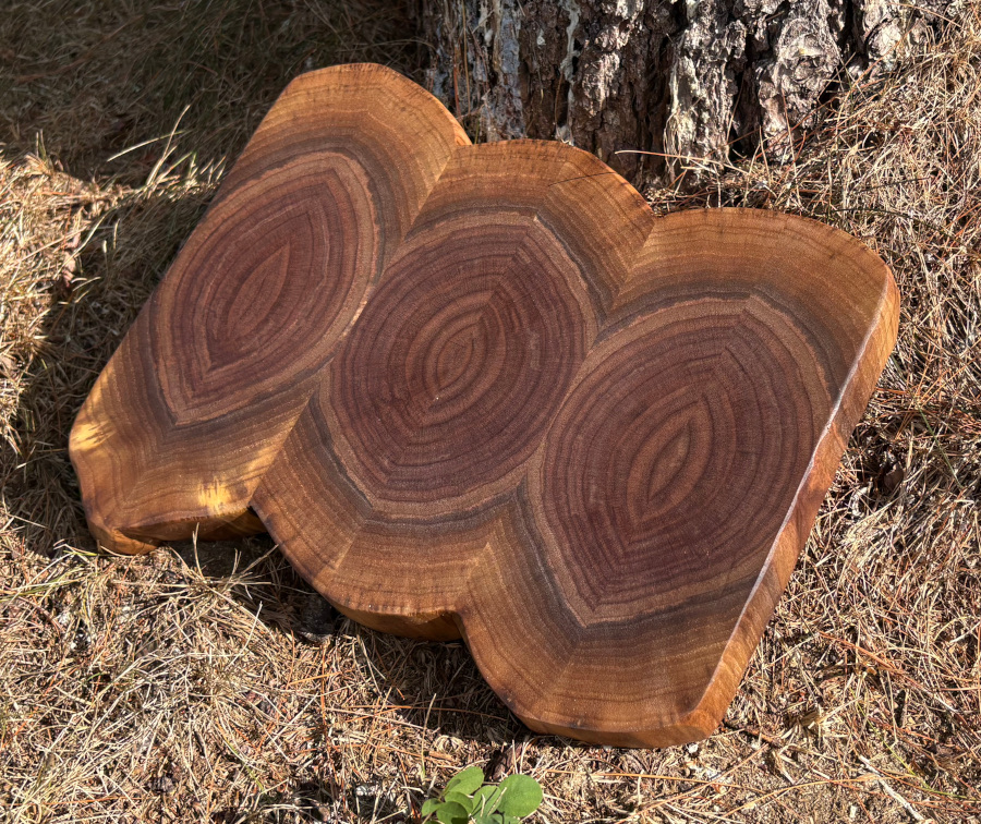 Live Edge Walnut